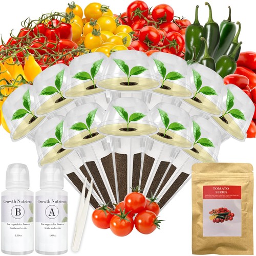 Kit cialde semi pomodoro - kit, di