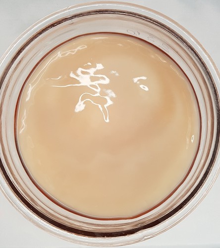 Kombucha live fresh - fresh, scoby