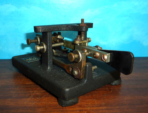 Chiave telegrafica per insetti