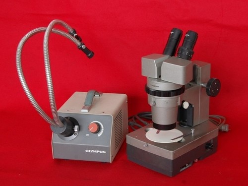 Microscopio stereo olympus - stereo,