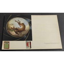 Cartolina Polvere da Sparo Sipe - Nc