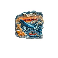 Tromso Norvegia Tourist