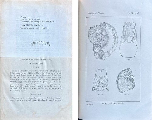 Hyatt 1895 phylogeny acquired - 1895,