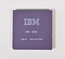 IBM 486 DX4, 486-4V3100GC