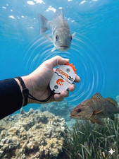 Richiamo pesci call fish