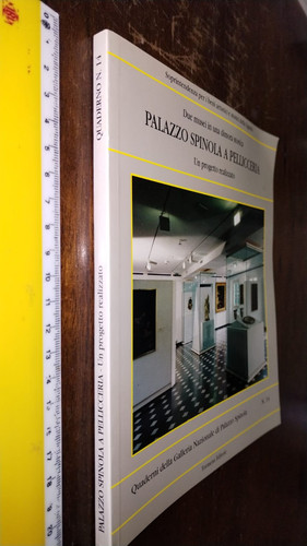 Libro palazzo spinola - libro:palazzo,