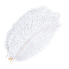 HQdeal 10 Pezzi Piuma di