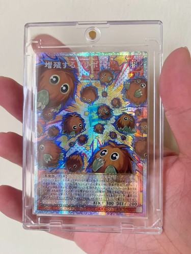 Giapponese ocg 2026 - ocg,