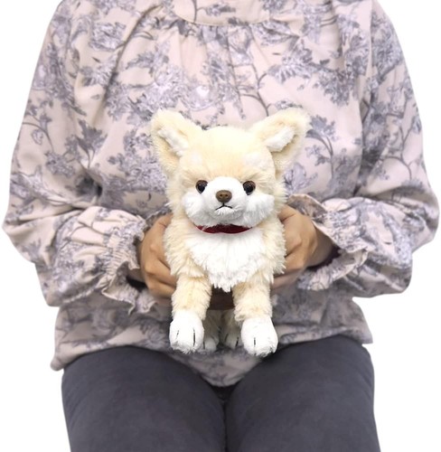 Peluche chihuahua sun lemon - peluche,