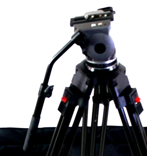 Cartoni focus f100 testa - focus,