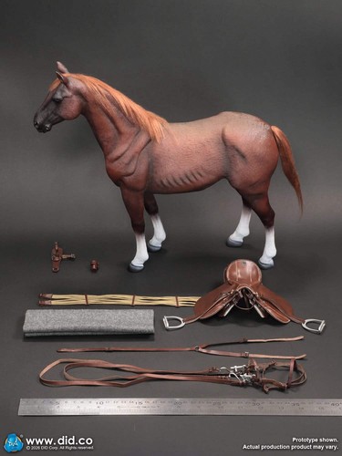 Cavallo guerra marrone - guerra,