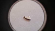 ZENITH watch parts part