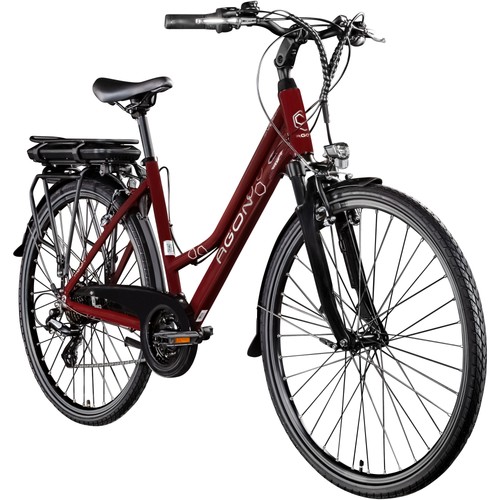 Bicicletta elettrica trekking