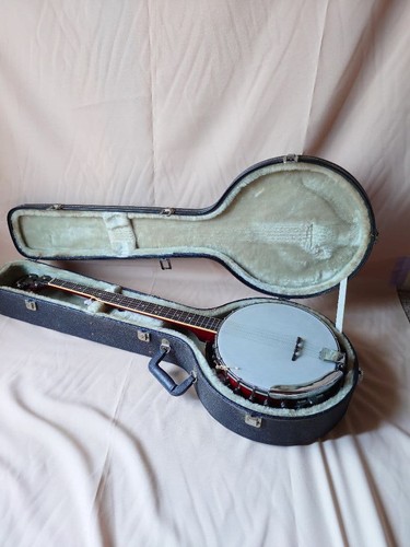Aria sb100 banjo corde anni - corde,