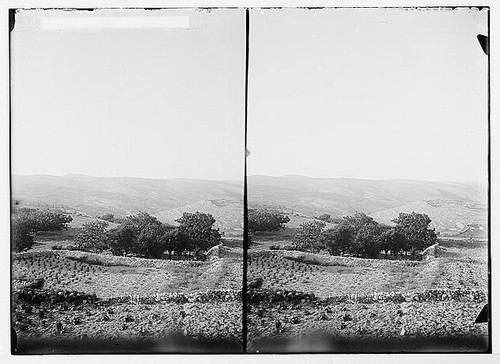 Foto rama palestina 1900s - foto:rama,