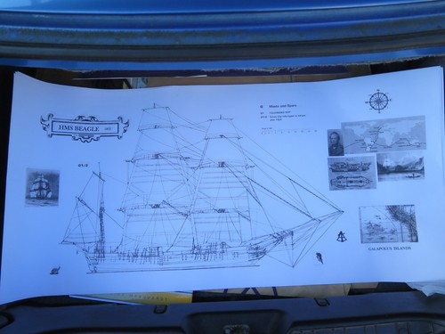Disegno linea hms beagle - linea,