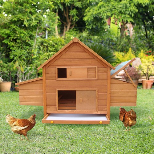 Gabbia pollaio per galline - per,