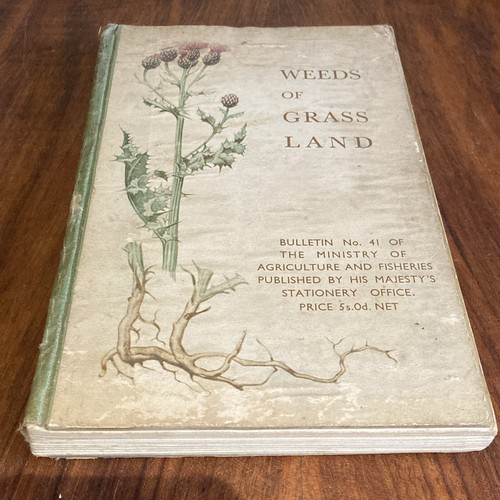 Weeds grass land - weeds,