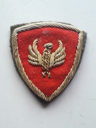 Scudetto omerale brigata - scudetto,