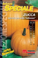 Semi di Zucca Quintale