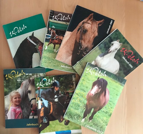 Welsh pony cob original - cob,