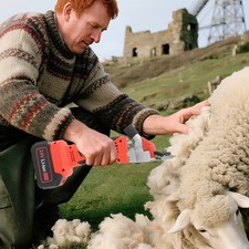 Forbici per pecore elettriche