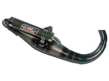 31255E MARMITTA GIANNELLI