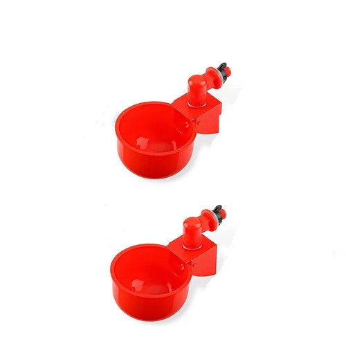 Pollo anatra bere tazza - pollo,