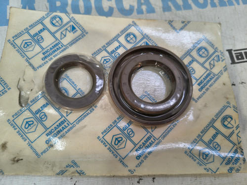 Serie paraoli motore viton - in,