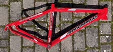 Saccarelli special team - saccarelli,