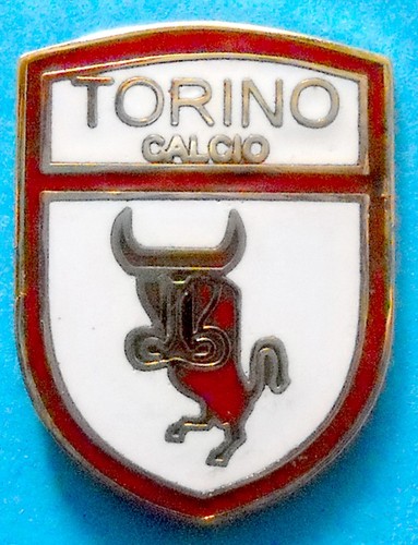 Distintivo spilla pin badge - badge,