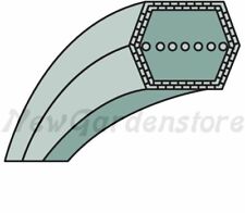 Cinghia esagonale trattorino