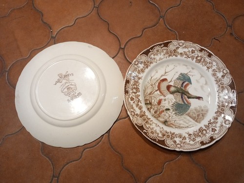 Piatti decorati mano wild - decorati,