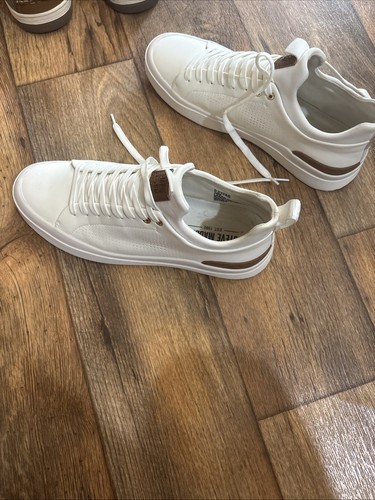 Scarpe steve madden - scarpe,