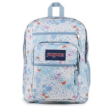 JanSport Big Student 17"
