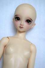 Volks bjd standard model - -,