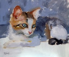 Dipinto originale ad olio firmato di gatto cucciolo di profilo sdraiato