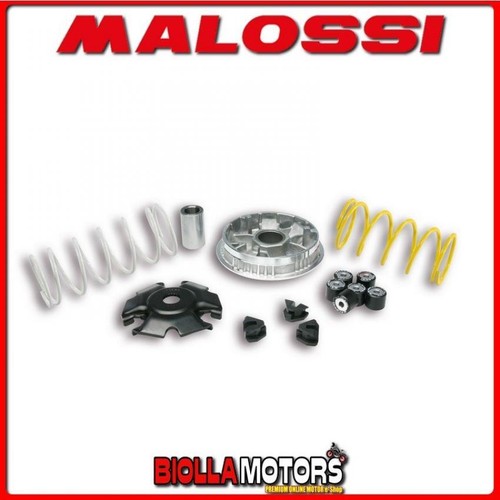 5116674 variatore malossi - variatore,