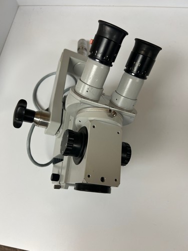Microscopio chirurgico zeiss - microscopio,