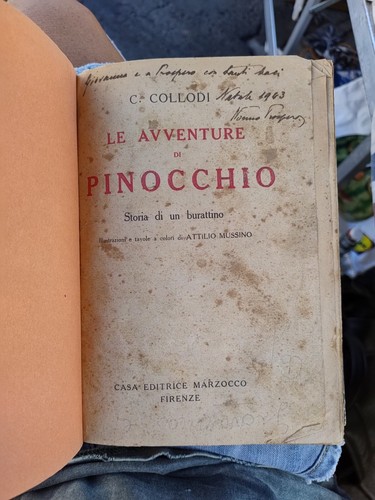 Avventure pinocchio - le,