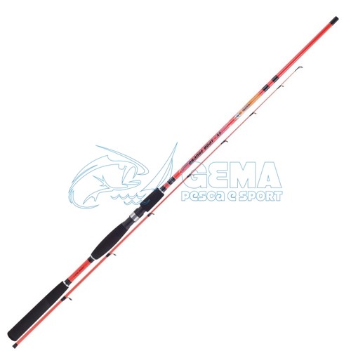 Canna colmic orange - canna,