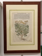 2 Stampe Antiche Silografia