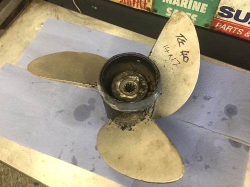 Elica evinrude etec - etec, 40cv