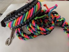 Set Collare E Guinzaglio Per