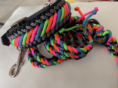 Set collare guinzaglio - collare, per