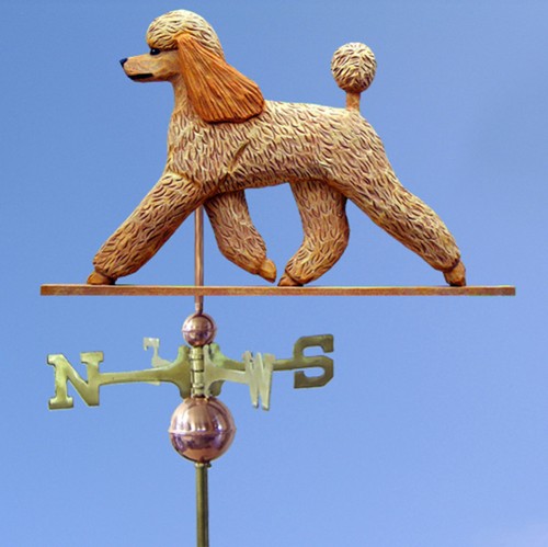 Poodle legno basswood - in,