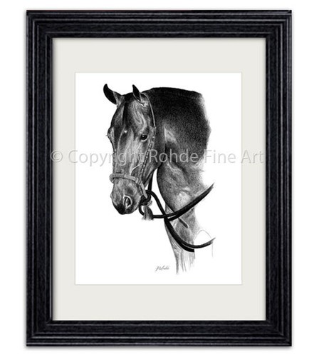 American quarter horse western - american,