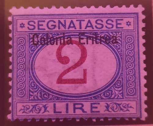 Francobollo nuovo italia 1903 - francobollo,