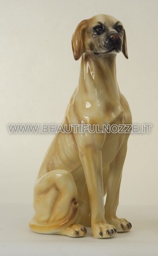 Cane labrador grande seduto - cane,