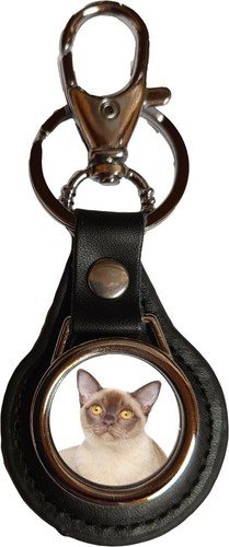 Burmese cat pet black - cat,